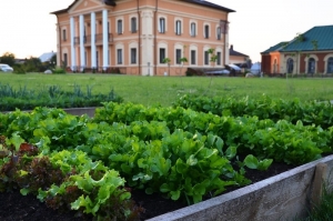 А у нас есть свой маленький огородик!